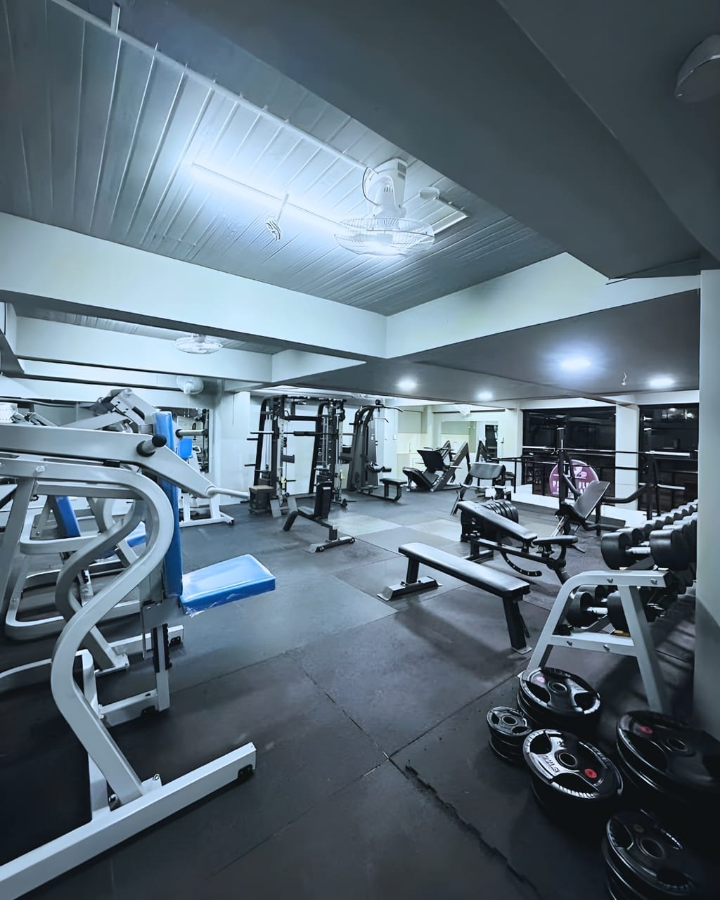 Pembo branch strength floor with white-framed plate-loaded machines, benches, a dumbbell rack and cable stations